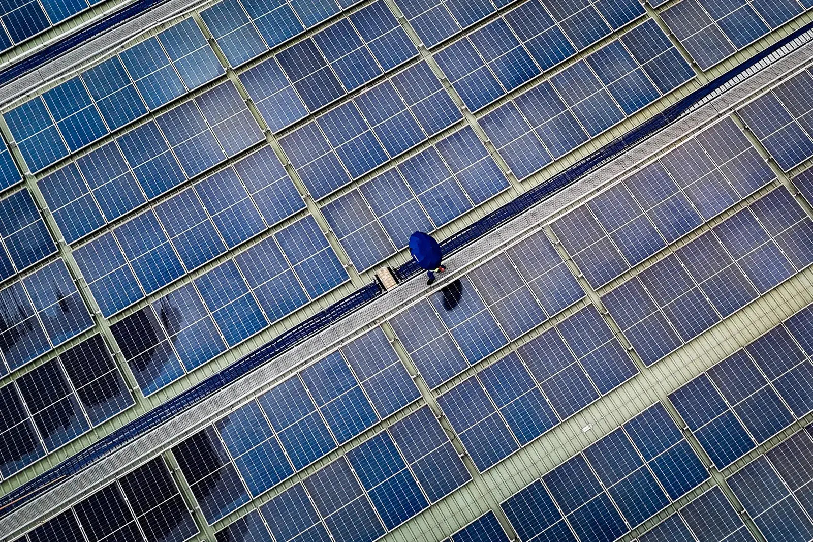 Mehrere Solarmodule nebeneinander in der Sonne